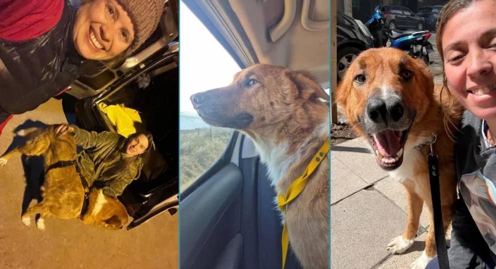 Del rescate de Roger, abandonado en el campo, al amor de una familia que lo adoptó. Un viaje emocionante. Fotos: autora