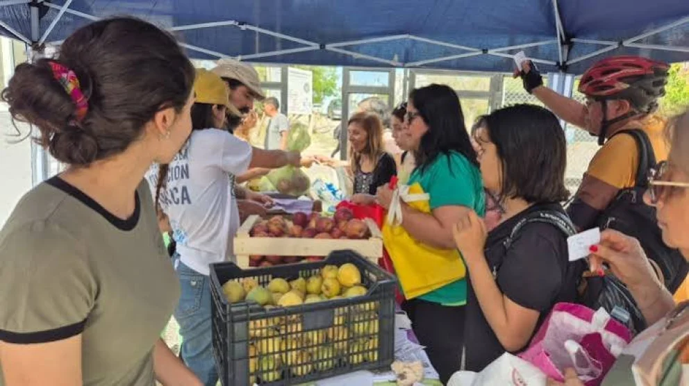 La feria, nuclea la producción agroecológica y de estación de la zona. Foto: UNCo.