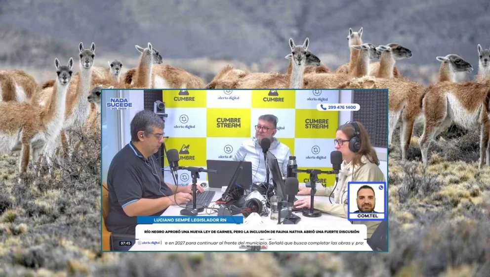 El legislador fue entrevistado en el programa "Nada sucede dos veces", por AM Cumbre 1400. Foto: captura de video Cumbre Stream/archivo