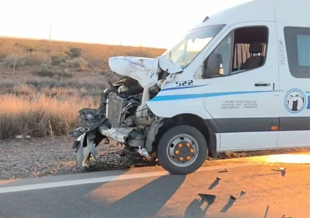 La minibus quedó a un costado de la ruta luego del choque contra un caballo. 