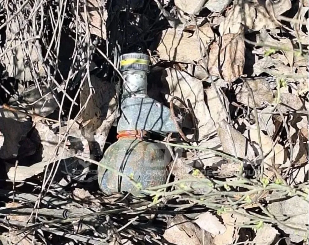 Personal de la División Explosivos de Bomberos de la Policía trabajó en el lugar donde se halló la granada, en el barrio Caminos del Sol de Plottier.