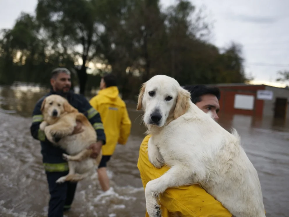 Es la primera vez que se realizará esta capacitación a personal de emergencia. Foto: gentileza.