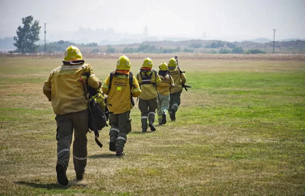 Durante 2026, el fuego arrasó 60.845 hectáreas de bosques andino-patagónicos. Foto: gentileza.