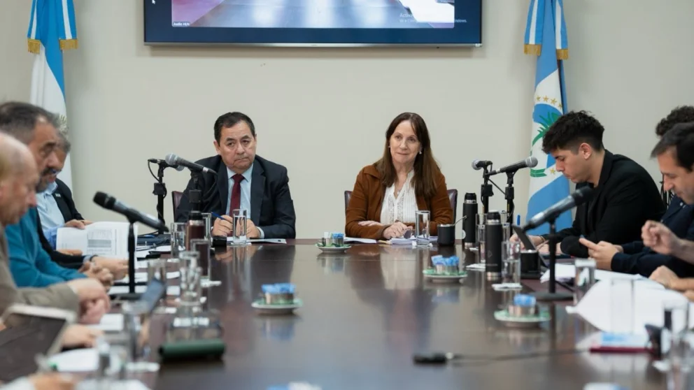 Plenario de las comisiones de Asuntos Constitucionales y Hacienda en la Legislatura neuquina.