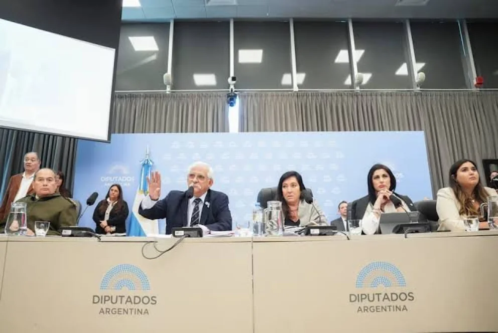 Plenario de comisiones de la Cámara de Diputados.