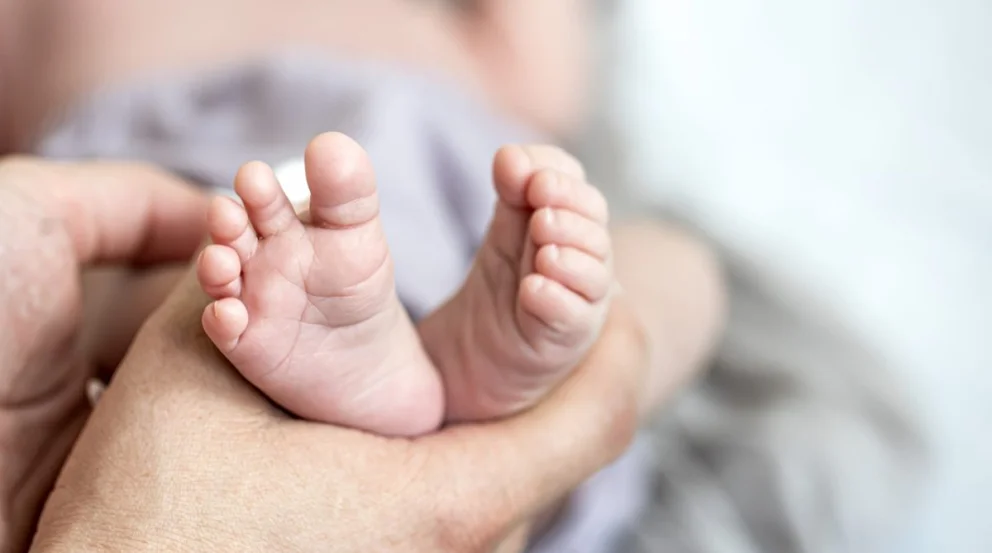 El relato de la madre es claro y contundente: una palta le cayó en la cabeza a su hijo Lucas y le provocó graves lesiones. Fuente: gentileza.