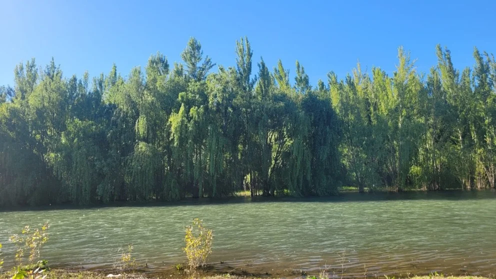 Cómo estará el tiempo en Neuquén y toda la provincia este jueves 29 de octubre. Foto: archivo